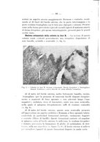 giornale/TO00176894/1936/V.61/00000098