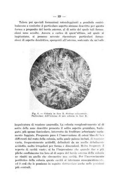 Archivio per le scienze mediche