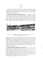 giornale/TO00176894/1936/V.61/00000101