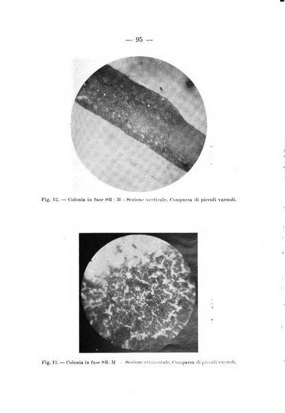 Archivio per le scienze mediche