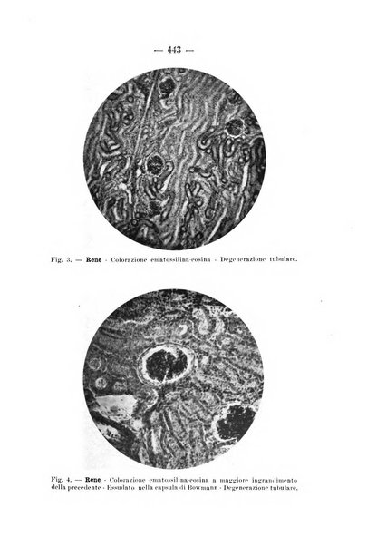 Archivio per le scienze mediche