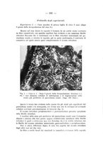 giornale/TO00176894/1936/V.62/00000195