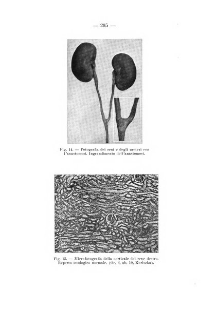 Archivio per le scienze mediche