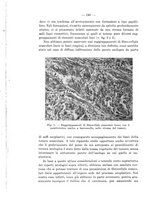 giornale/TO00176894/1939/V.67/00000154