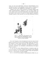 giornale/TO00176894/1939/V.67/00000382