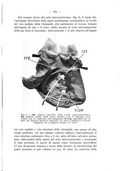 Archivio per le scienze mediche