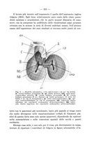 giornale/TO00176894/1939/V.67/00000537