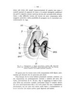 giornale/TO00176894/1939/V.67/00000538