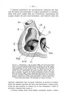 giornale/TO00176894/1939/V.67/00000539