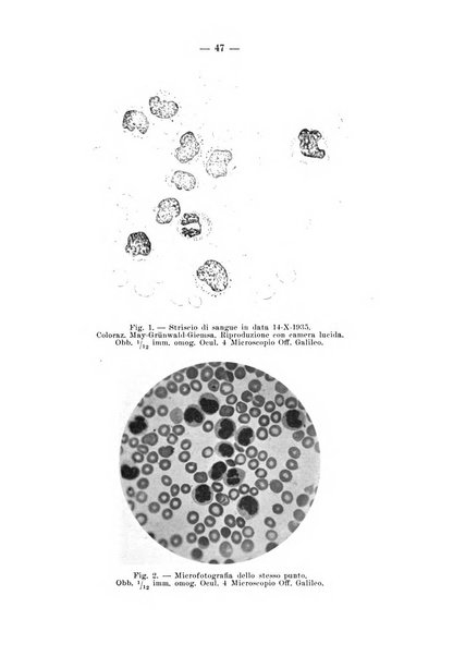 Archivio per le scienze mediche