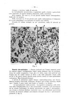 giornale/TO00176894/1939/V.68.2/00000085