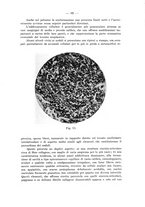 giornale/TO00176894/1939/V.68.2/00000095