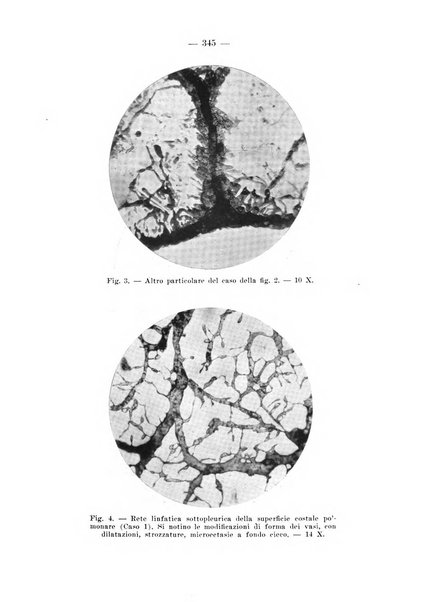 Archivio per le scienze mediche