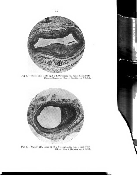 Archivio per le scienze mediche