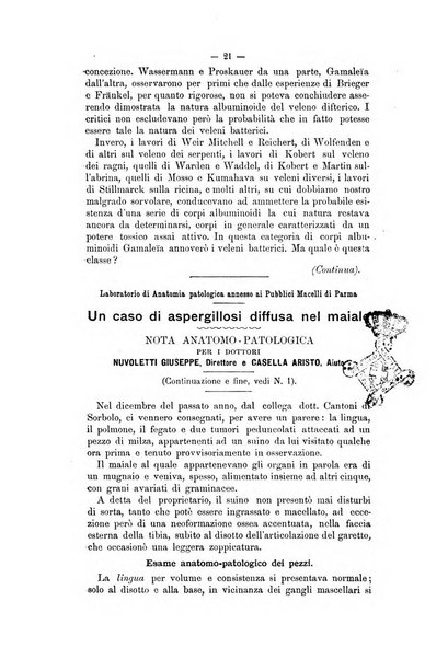 Archivio scientifico della Reale Società ed Accademia veterinaria italiana pubblicazione mensile