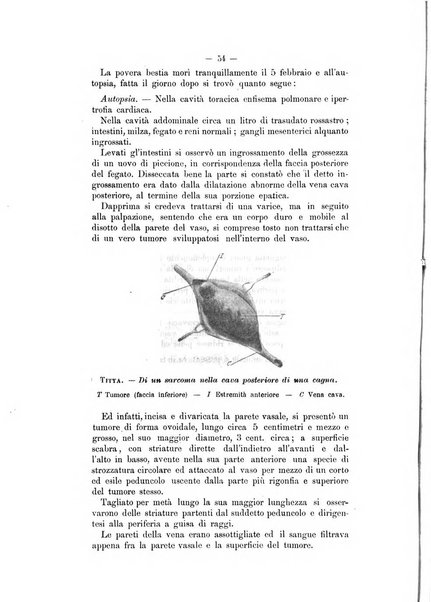 Archivio scientifico della Reale Società ed Accademia veterinaria italiana pubblicazione mensile