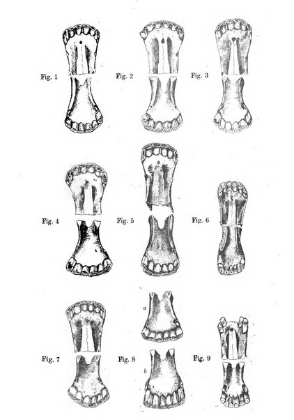 Archivio scientifico della Reale Società ed Accademia veterinaria italiana pubblicazione mensile