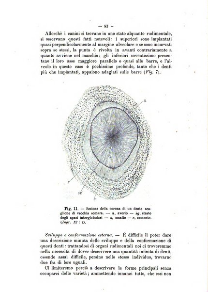 Archivio scientifico della Reale Società ed Accademia veterinaria italiana pubblicazione mensile