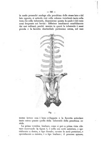 Archivio scientifico della Reale Società ed Accademia veterinaria italiana pubblicazione mensile