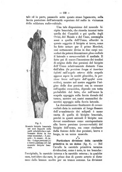 Archivio scientifico della Reale Società ed Accademia veterinaria italiana pubblicazione mensile