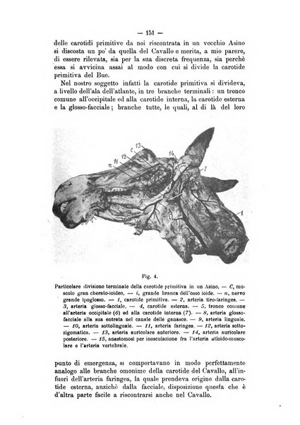 Archivio scientifico della Reale Società ed Accademia veterinaria italiana pubblicazione mensile