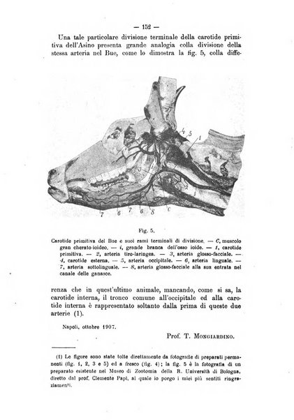 Archivio scientifico della Reale Società ed Accademia veterinaria italiana pubblicazione mensile