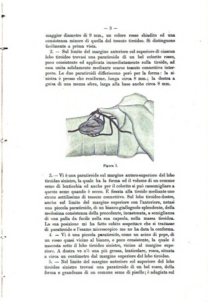 Archivio scientifico della Reale Società ed Accademia veterinaria italiana pubblicazione mensile