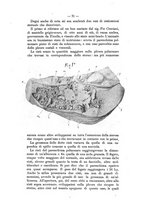 giornale/TO00176899/1908/unico/00000085