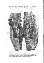 giornale/TO00176899/1908/unico/00000086