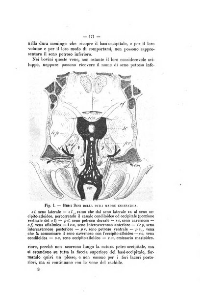 Archivio scientifico della Reale Società ed Accademia veterinaria italiana pubblicazione mensile