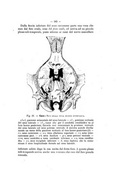 Archivio scientifico della Reale Società ed Accademia veterinaria italiana pubblicazione mensile