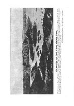 giornale/TO00176916/1928-1929/v.6/00000044