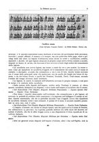 giornale/TO00176916/1928/v.5/00000309