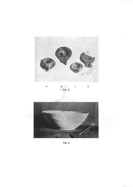 Archivio storico per la Sicilia