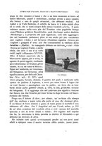 giornale/TO00176940/1919/unico/00000123