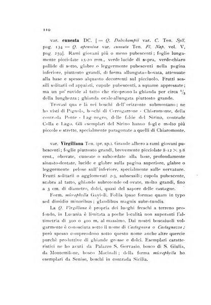 Archivio botanico pubblicato da Augusto Béguinot