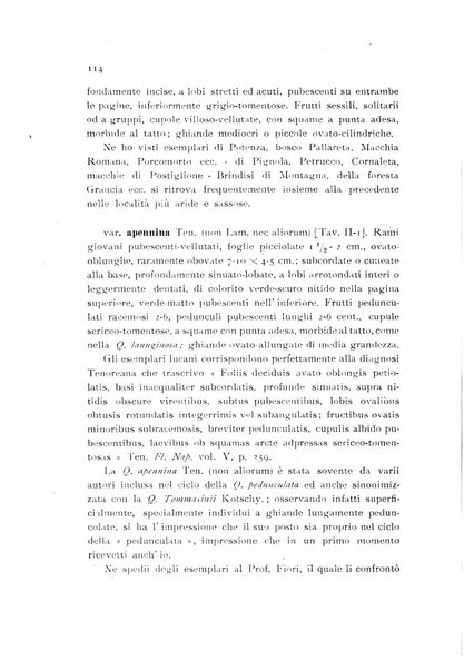 Archivio botanico pubblicato da Augusto Béguinot