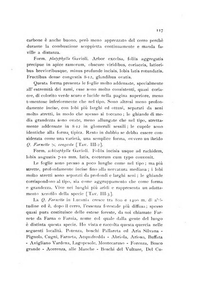 Archivio botanico pubblicato da Augusto Béguinot