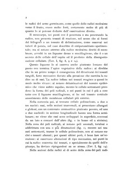 Archivio botanico pubblicato da Augusto Béguinot