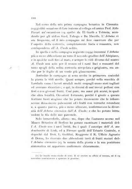 Archivio botanico pubblicato da Augusto Béguinot