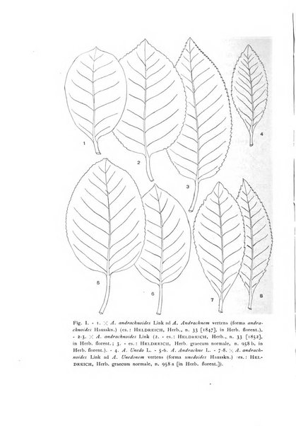 Archivio botanico pubblicato da Augusto Béguinot