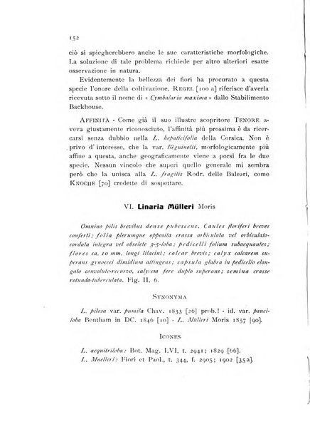 Archivio botanico pubblicato da Augusto Béguinot