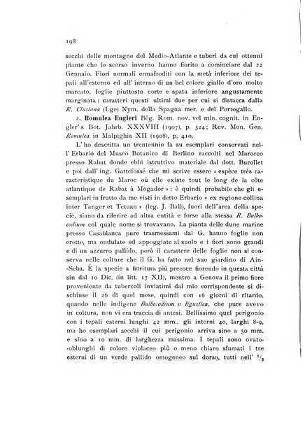 Archivio botanico pubblicato da Augusto Béguinot