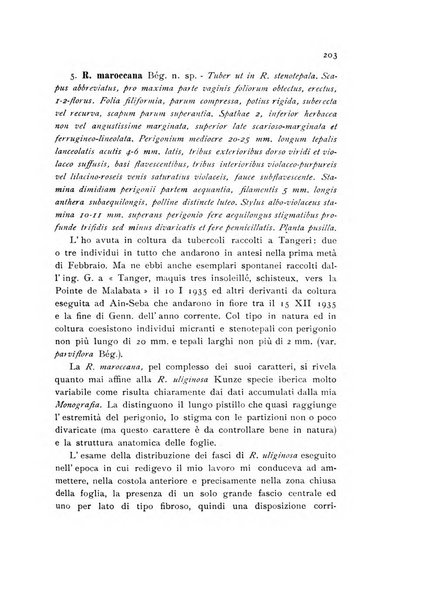 Archivio botanico pubblicato da Augusto Béguinot