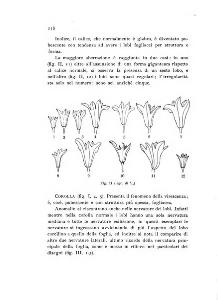 Archivio botanico pubblicato da Augusto Béguinot