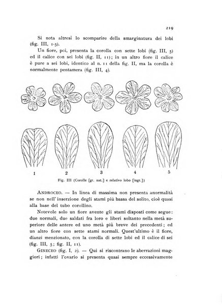 Archivio botanico pubblicato da Augusto Béguinot