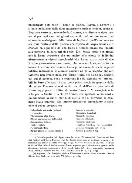 Archivio botanico pubblicato da Augusto Béguinot