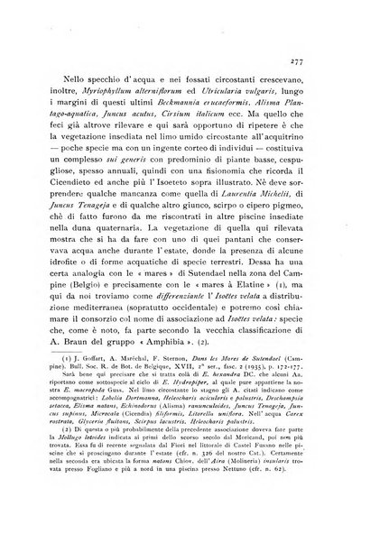 Archivio botanico pubblicato da Augusto Béguinot