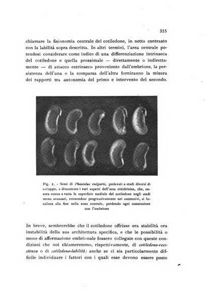 Archivio botanico pubblicato da Augusto Béguinot