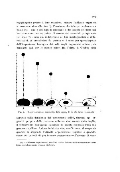 Archivio botanico pubblicato da Augusto Béguinot